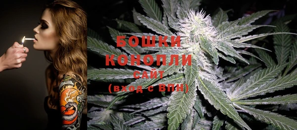 дживик Богородск