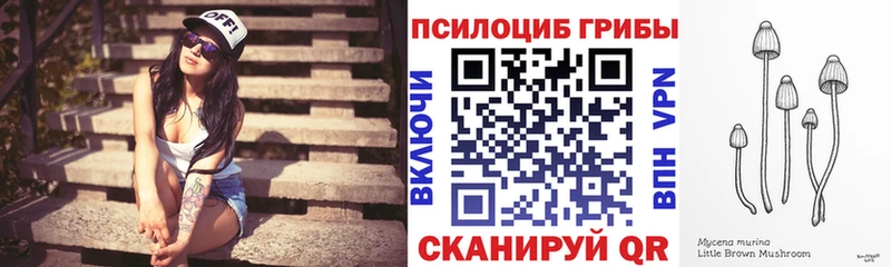 Псилоцибиновые грибы Psilocybe  мориарти клад  Чишмы 
